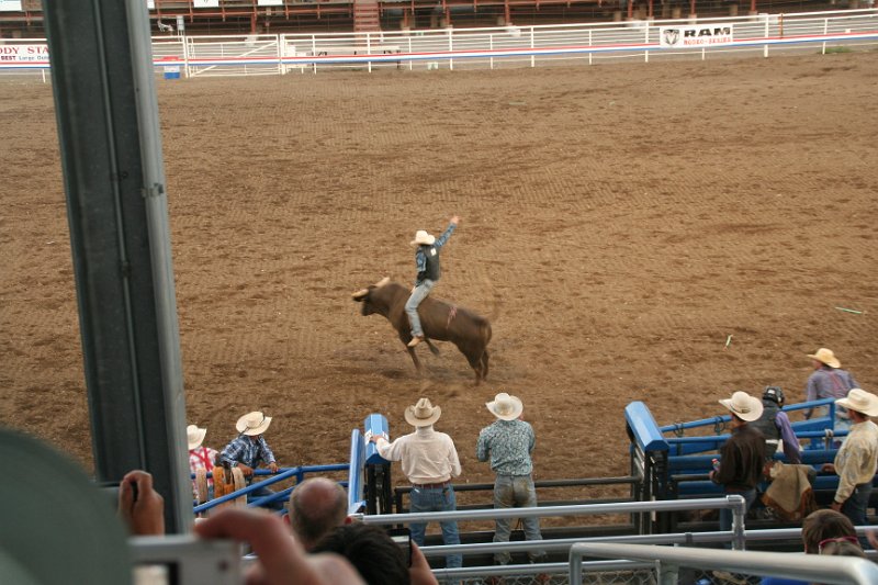 Trip (198).JPG - Bull riding at the Cody, Wyoming rodeo